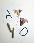 Animal Alphabet Cards