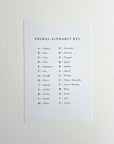 Animal Alphabet Cards