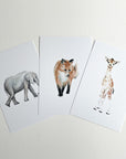 Animal Alphabet Cards