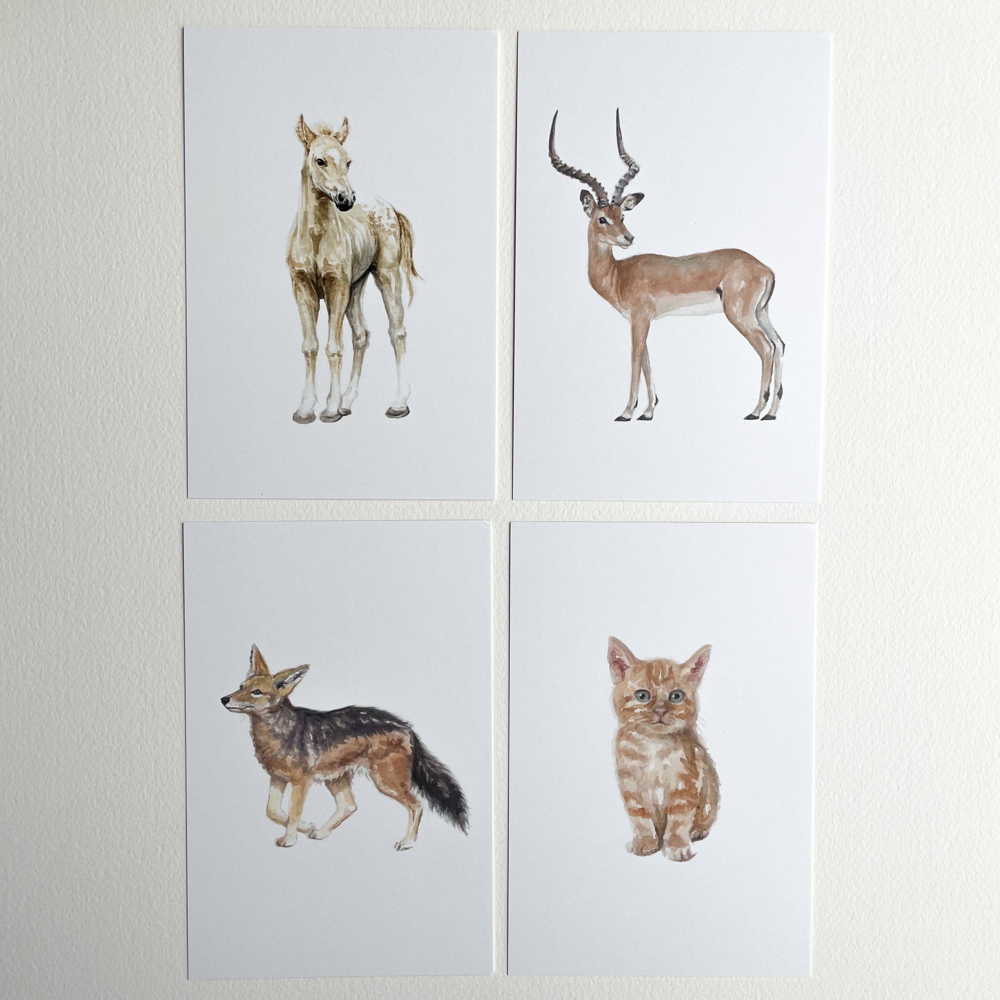 Animal Alphabet Cards