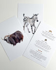 Animal Alphabet Cards