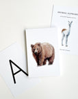 Animal Alphabet Cards
