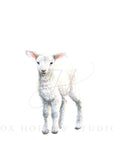 Lamb No. 2 Art Print