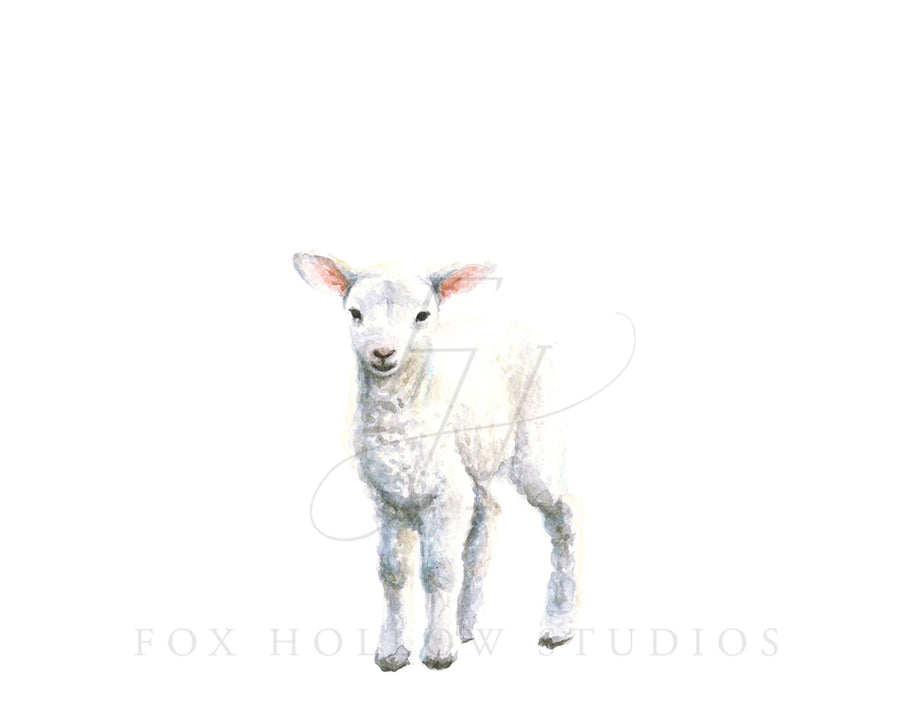 Lamb No. 2 Art Print