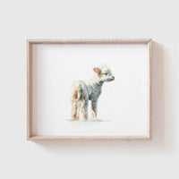 Lamb No. 1 Art Print