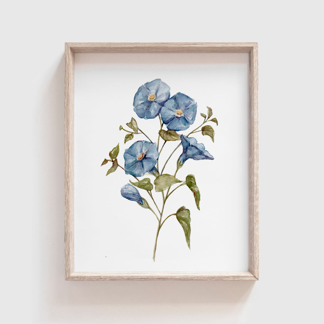 Morning Glory Art Print