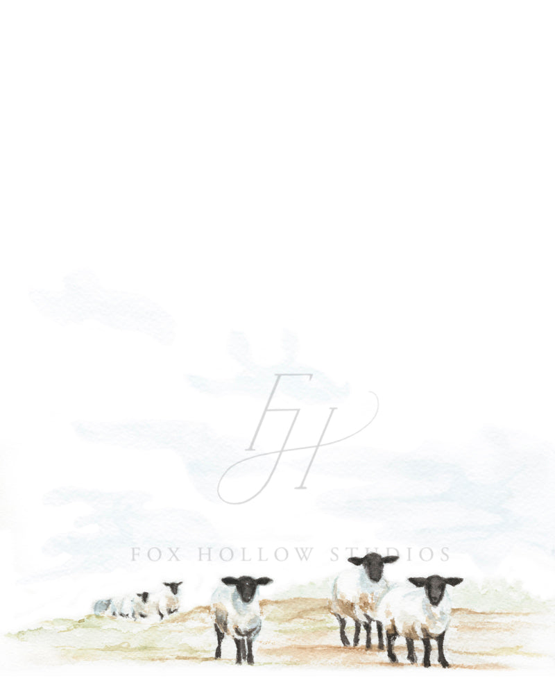 Sheep Art Print