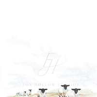 Sheep Art Print