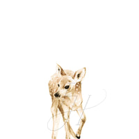 Standing Deer Art Print