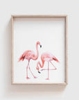 Flamingos Art Print