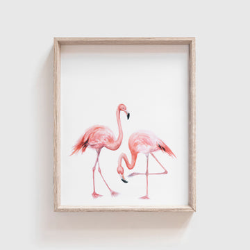 Flamingos Art Print