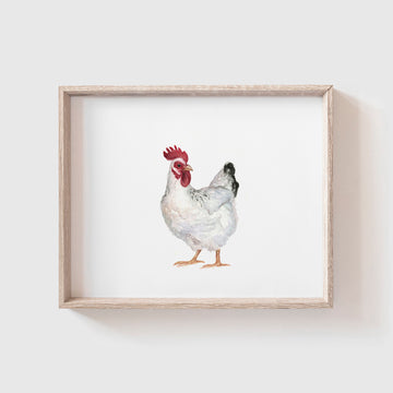 White Chicken Art Print