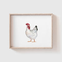 Chickens Art Print Set