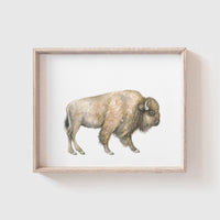 Buffalo Art Print