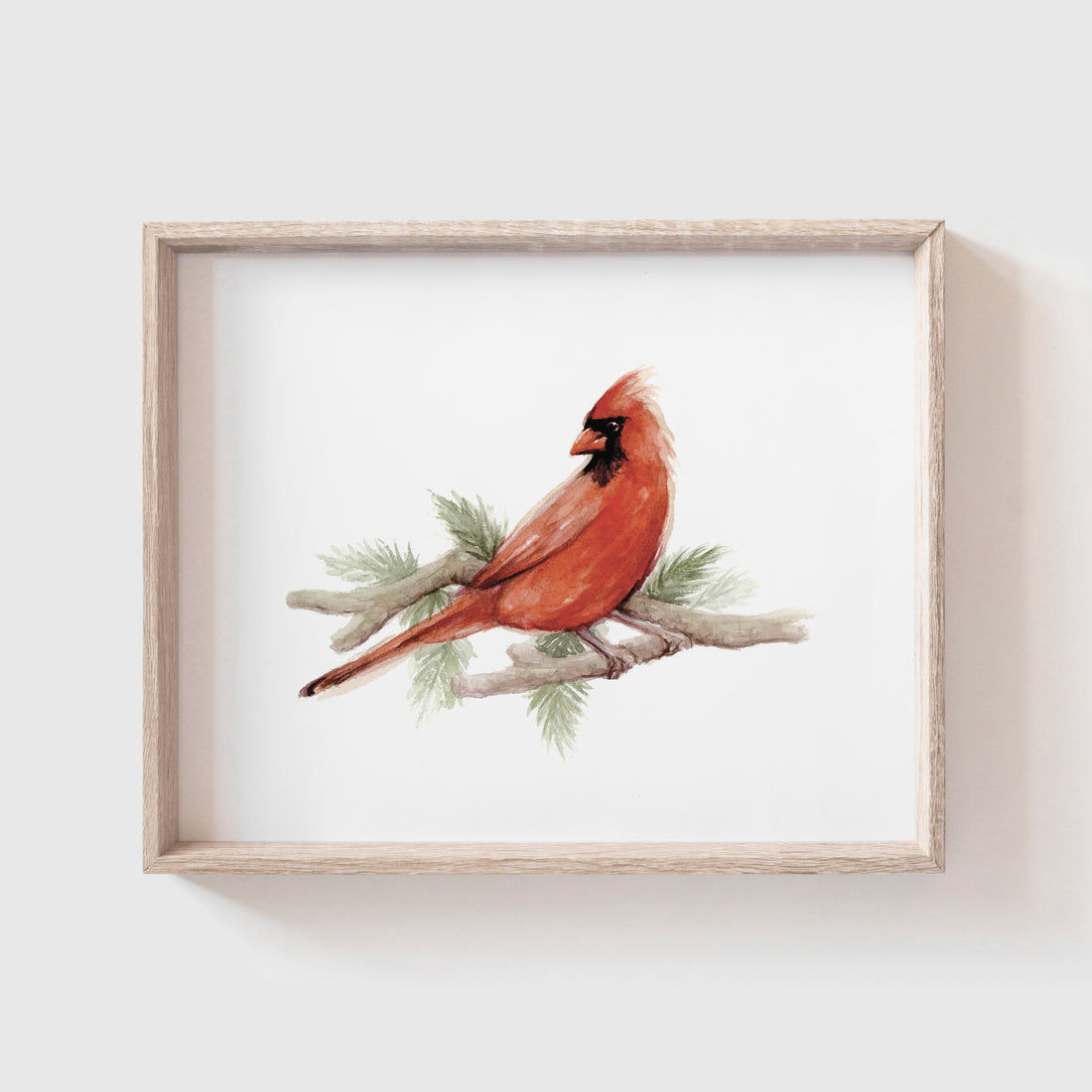 Cardinal Art Print