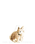 Sleeping Deer Art Print