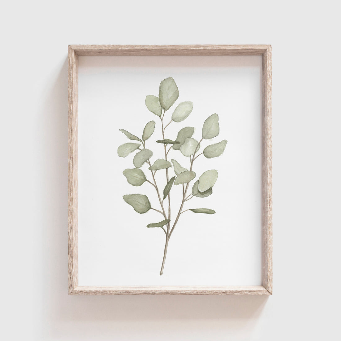 Eucalyptus Art Print