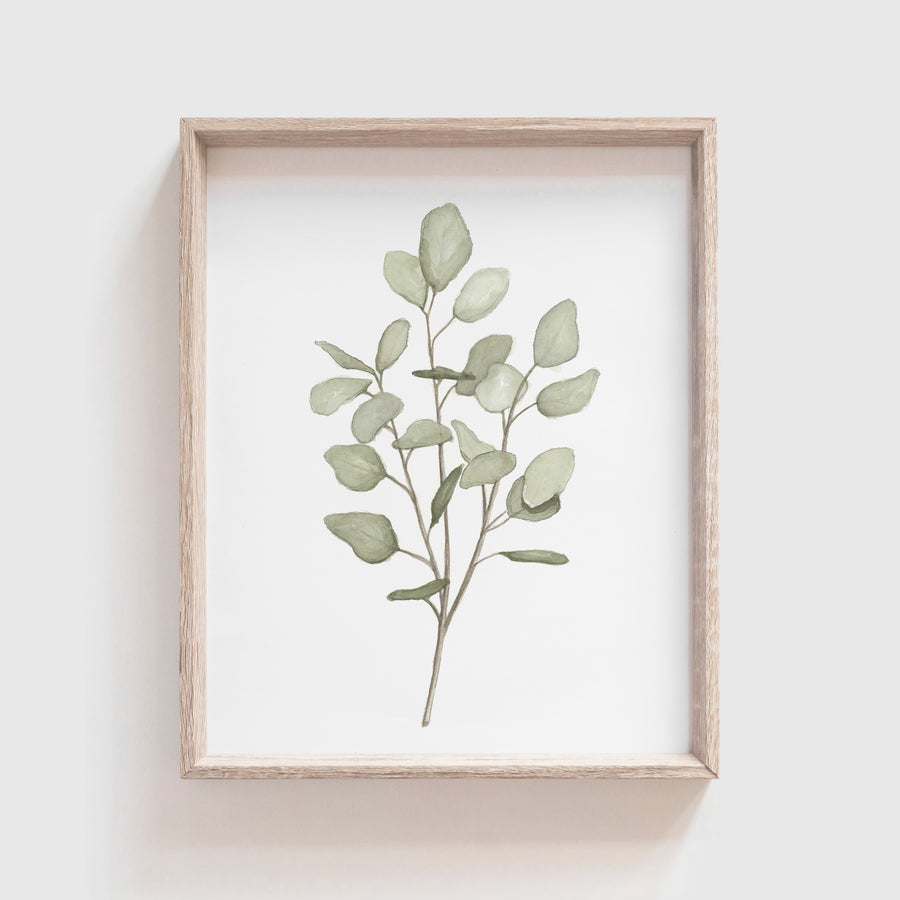 Eucalyptus Art Print