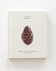 Our Little Adventures Book Set