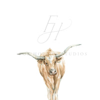 Longhorn Art Print