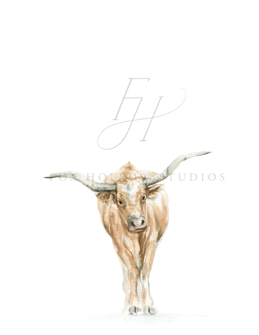 Longhorn Art Print