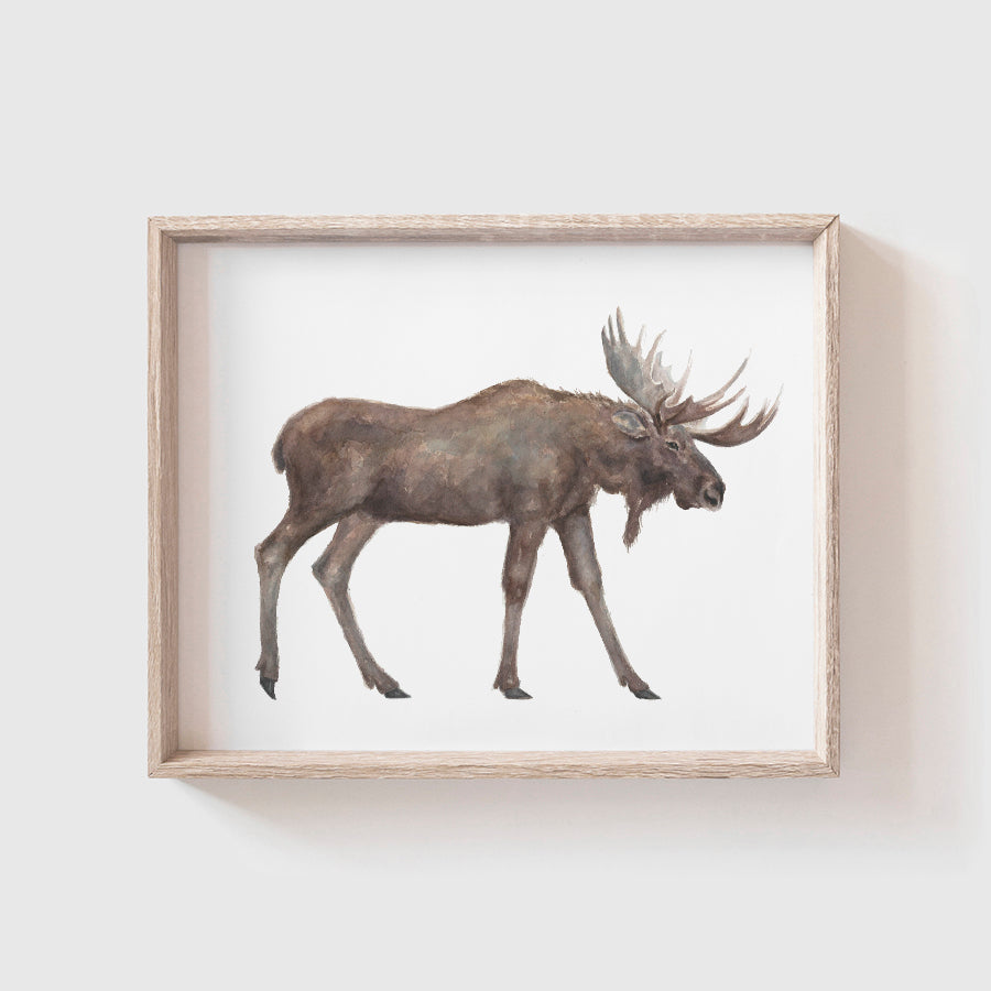 Moose Art Print