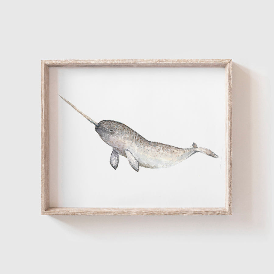 Narwhal Art Print