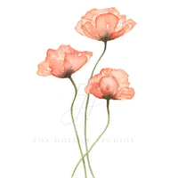 Poppy Art Print