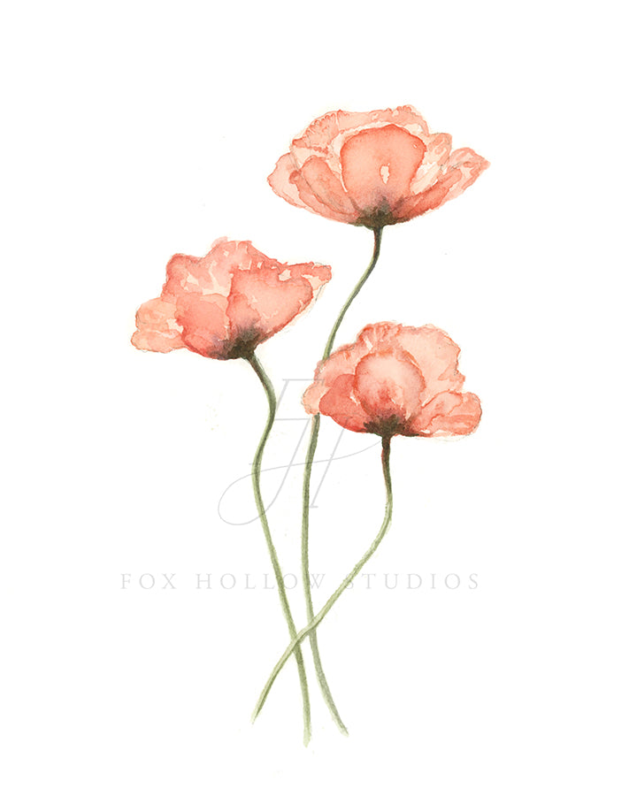 Poppy Art Print