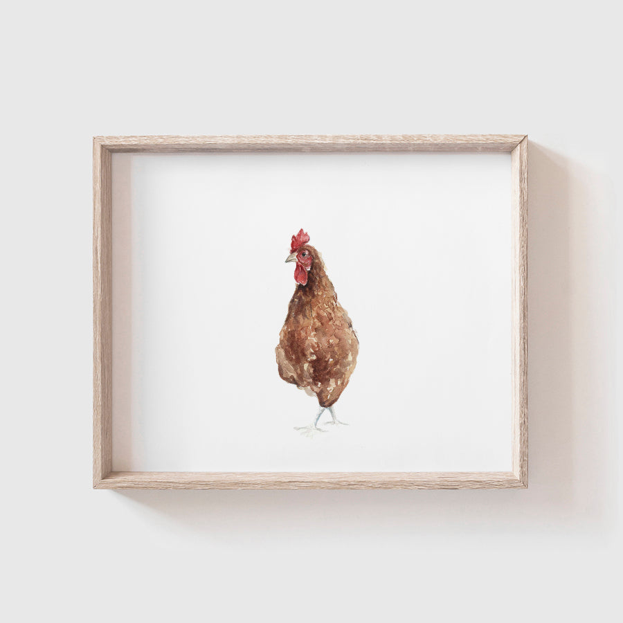 Red Chicken Art Print