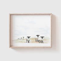 Sheep Art Print