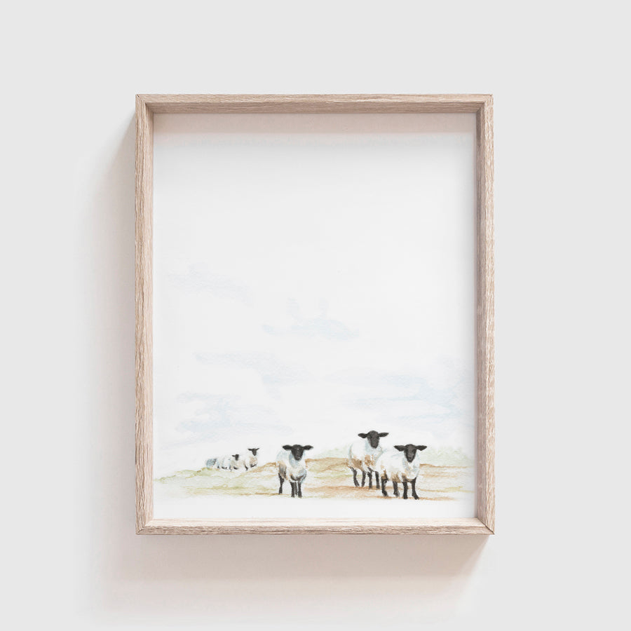 Sheep Art Print