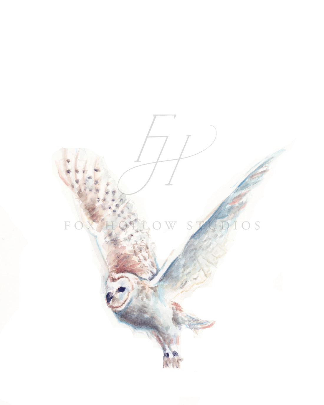 Arctic Owl Art Print