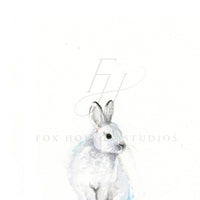 Arctic Bunny Art Print