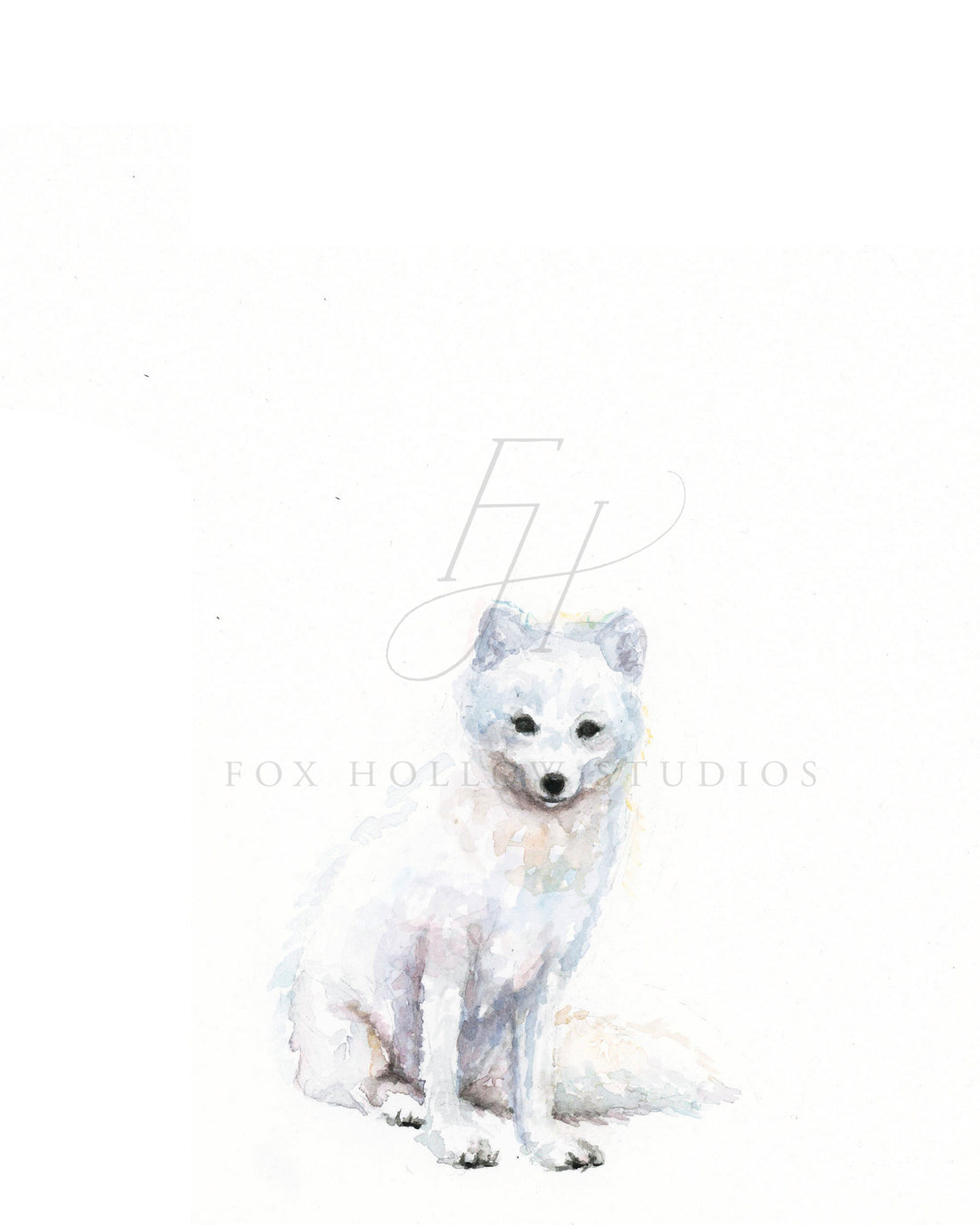 Arctic Fox Art Print