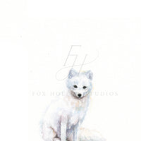 Arctic Fox Art Print