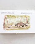 Our Little Adventures Book Set
