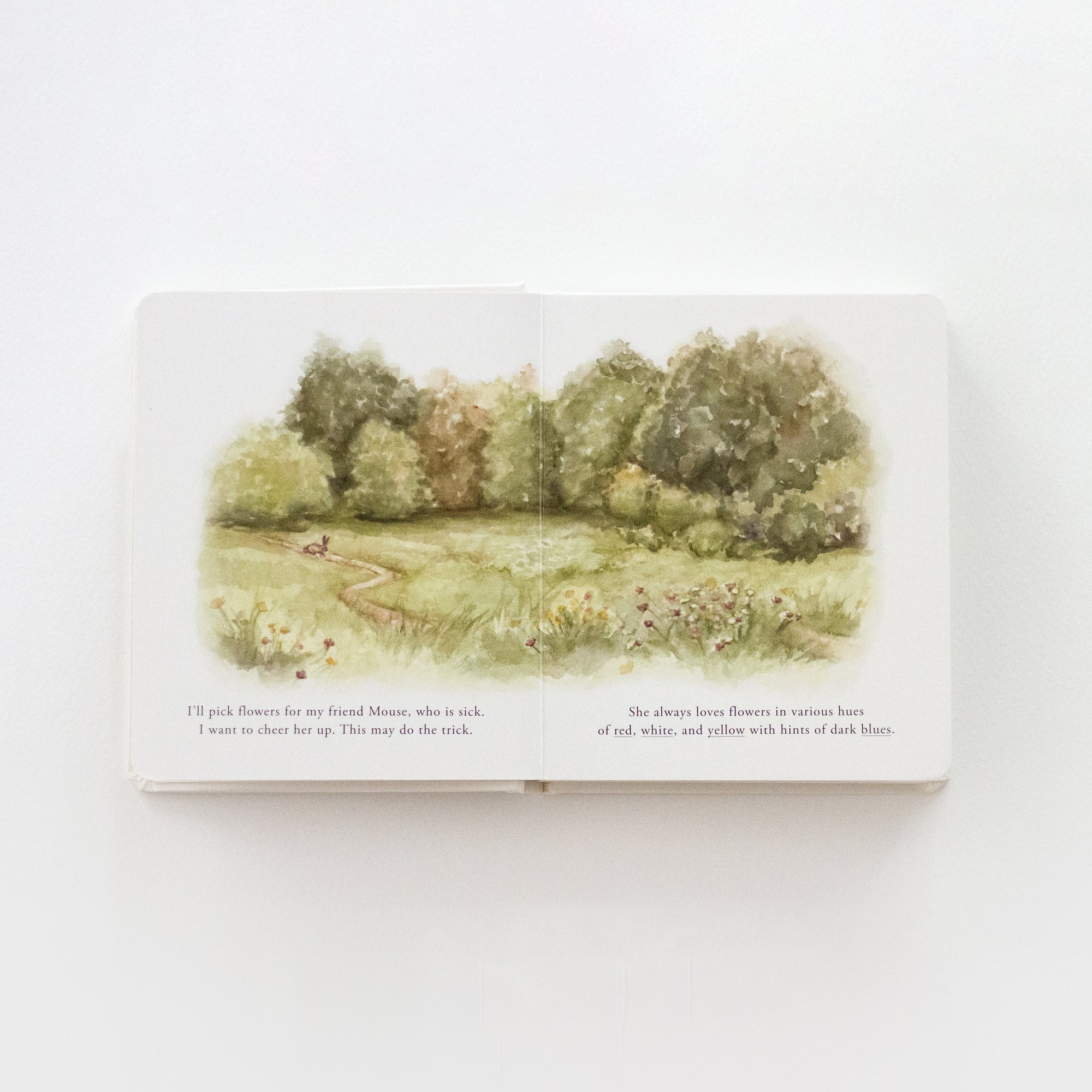 Our Little Adventures Book Set