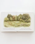Our Little Adventures Book Set