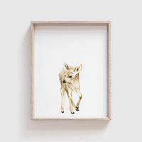 Deer Art Print Set