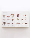 Our Little Adventures Book Set