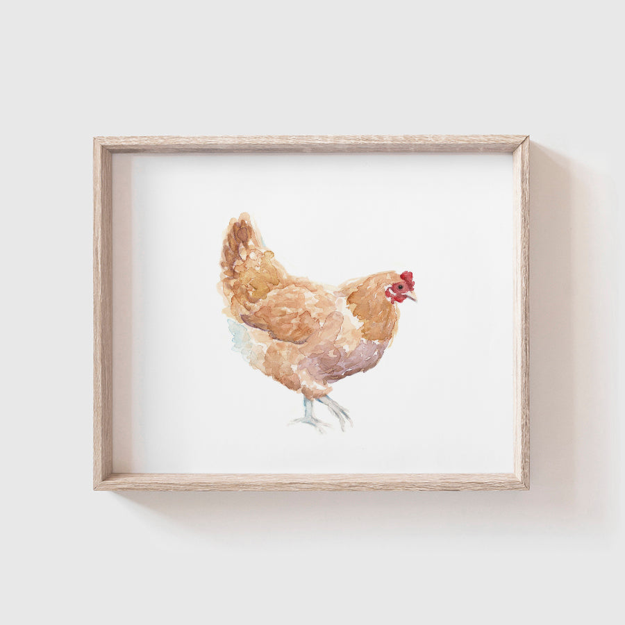 Yellow Chicken Art Print