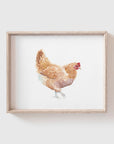 Yellow Chicken Art Print
