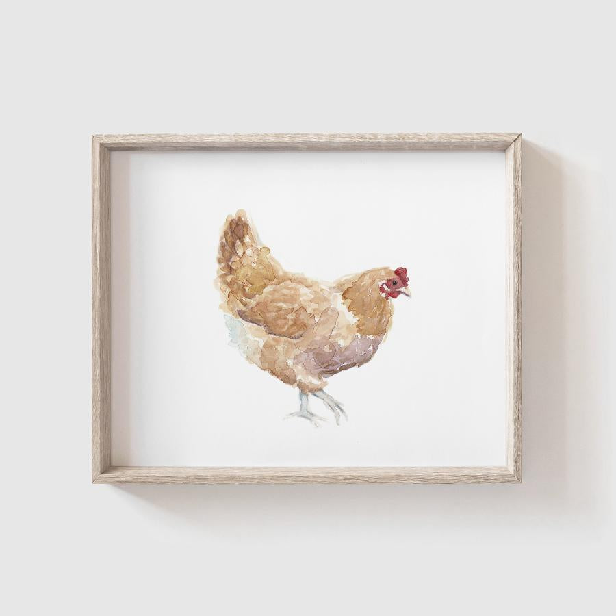 Chickens Art Print Set