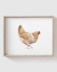 Chickens Art Print Set